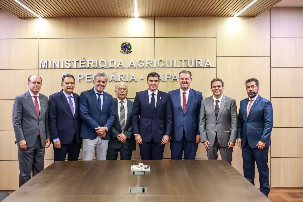 Governador Helder Barbalho articula medidas em Brasília para proteger cacau do Pará e ampliar exportação de carne aos EUA