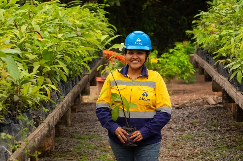 Alcoa distribui mil mudas frutíferas em Juruti pelo Dia Mundial da Educação Ambiental