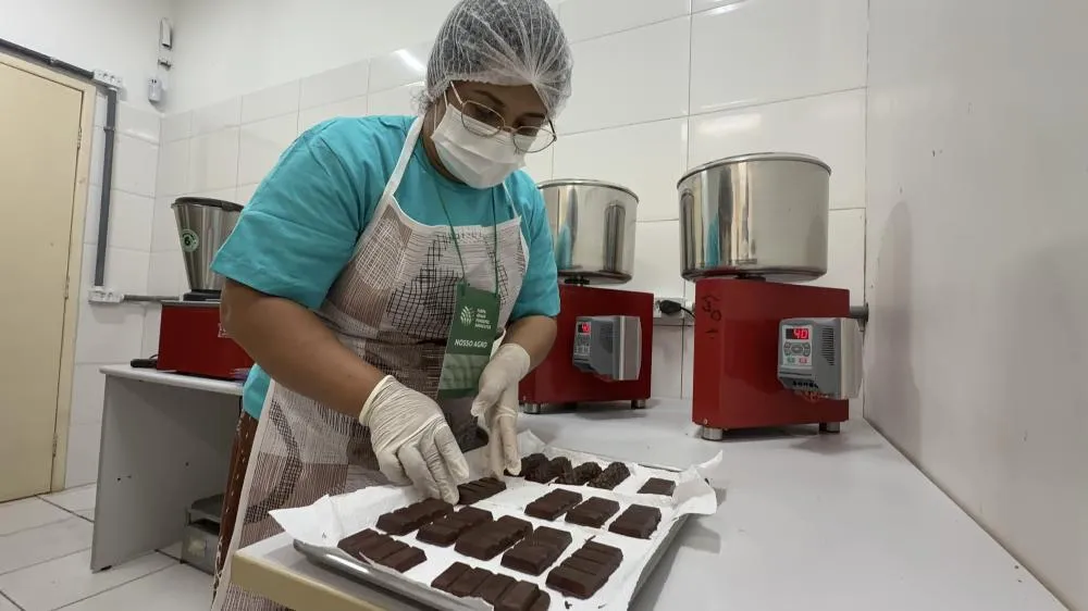 Da amêndoa à barra: curso transforma cacau em oportunidades para mulheres do Médio Xingu