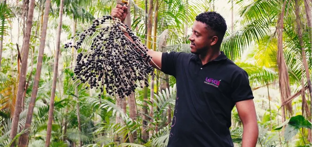 Da Amazônia ao mundo: paraense transforma resíduo em solução global