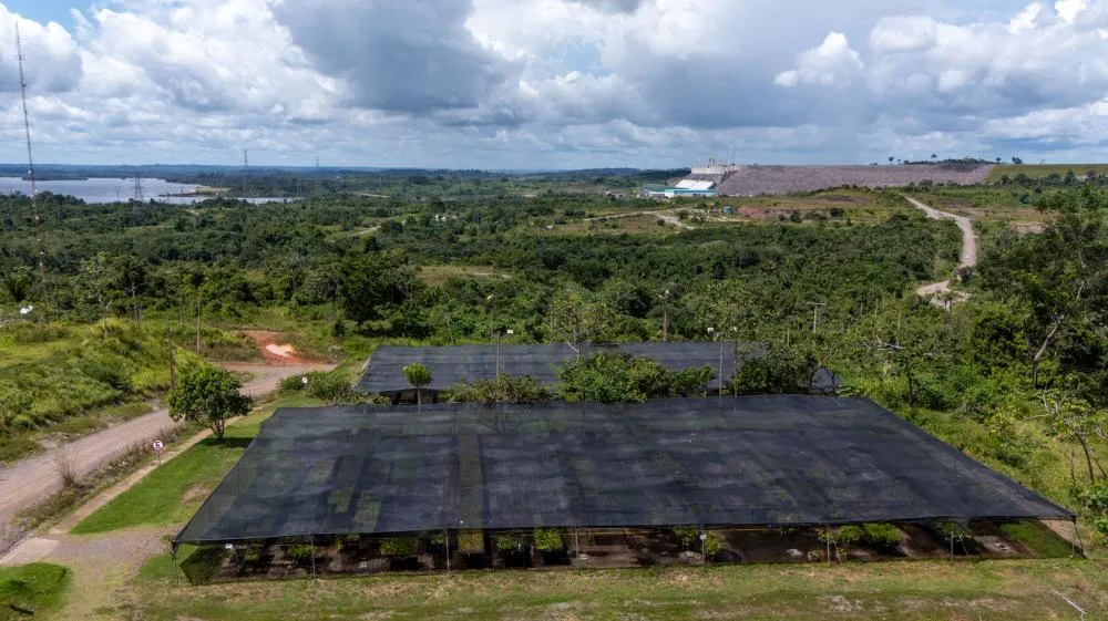 Dia Mundial do Meio Ambiente: Belo Monte já produziu mais de 2,6 milhões de mudas de árvores nativas na Amazônia