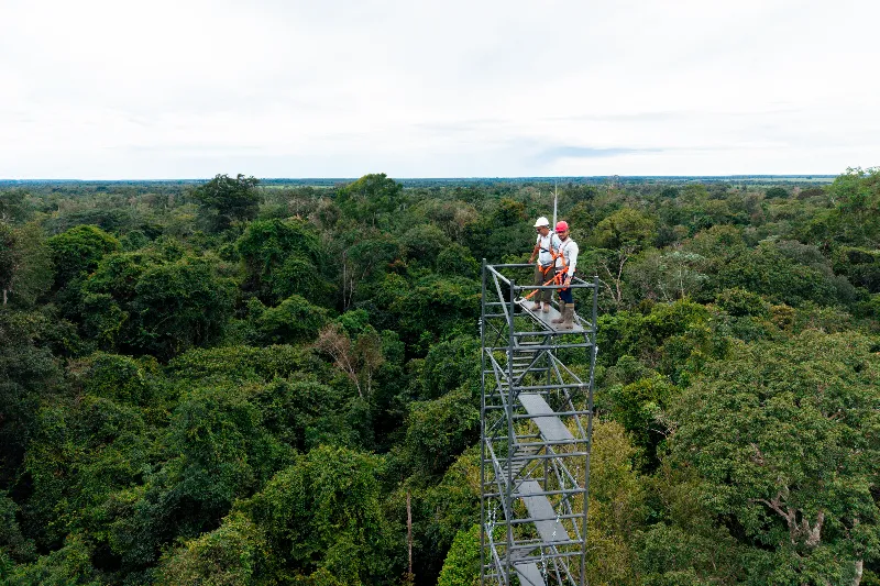 Projeto monitora clima em florestas secundárias da Amazônia